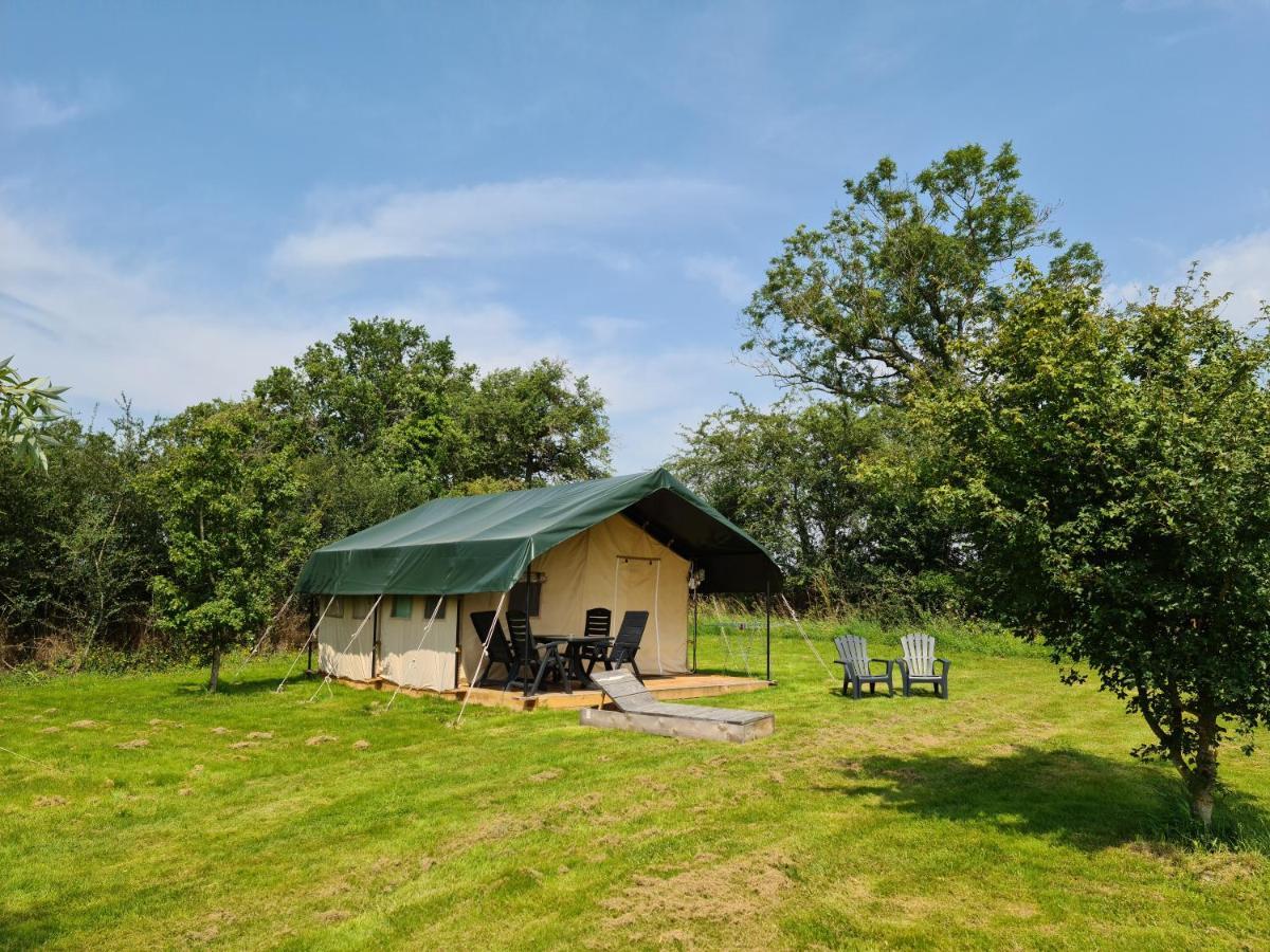 Le Petit Moulin Bed & Breakfast Saint-Hilaire  Exterior photo